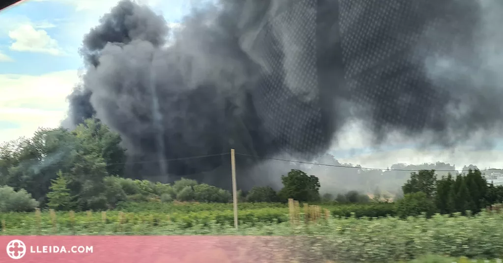 Un incendi crema una nau a Torrefarrera