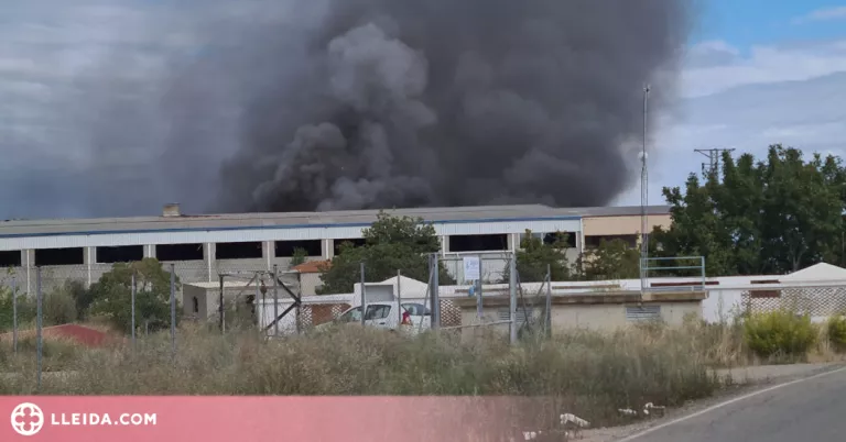 Un incendi crema una nau a Torrefarrera