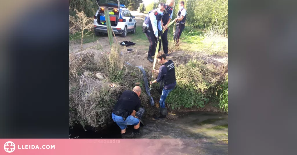 Recuperen dos campanes sostretes d'una ermita de la Segarra