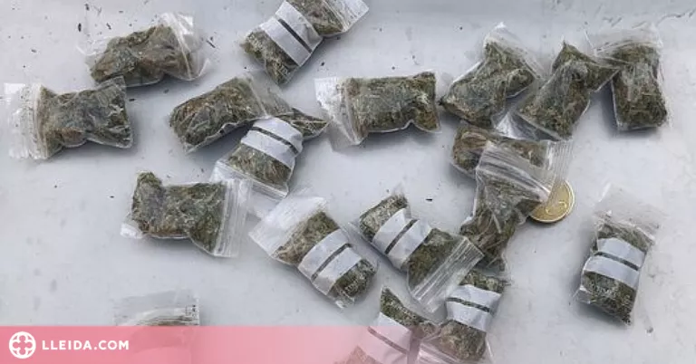 Dos joves detinguts per vendre droga al Centre Històric de Lleida