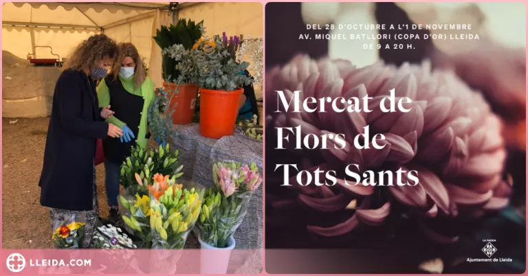 Sis parades al Mercat de Flors de Tots Sants a Lleida