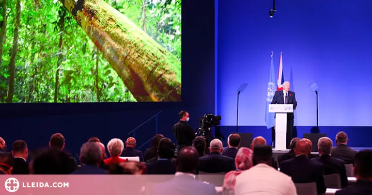 Un centenar de països prometen acabar amb la desforestació el 2030