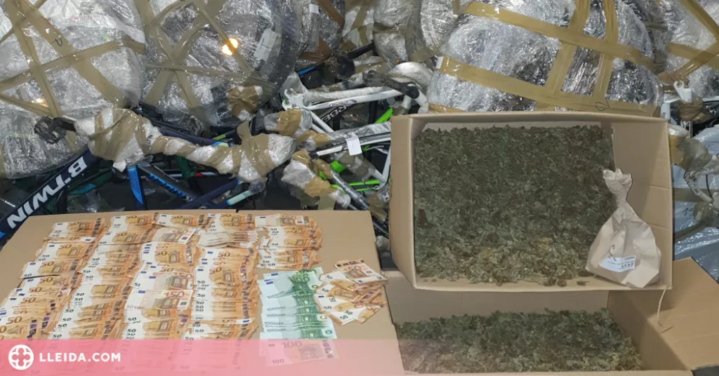 Detingut al Segrià amb més de 100 bicis sostretes i uns 10 quilos de marihuana
