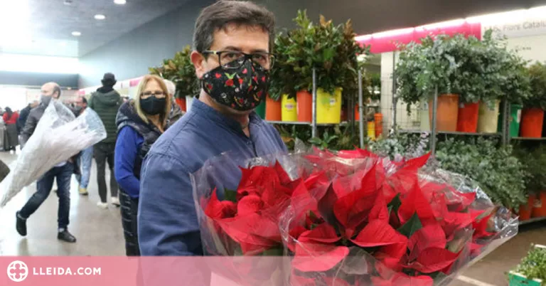 ⏯️ Els floristes recomanen "avançar les compres" de Nadal perquè hi pot haver manca d'abastiment
