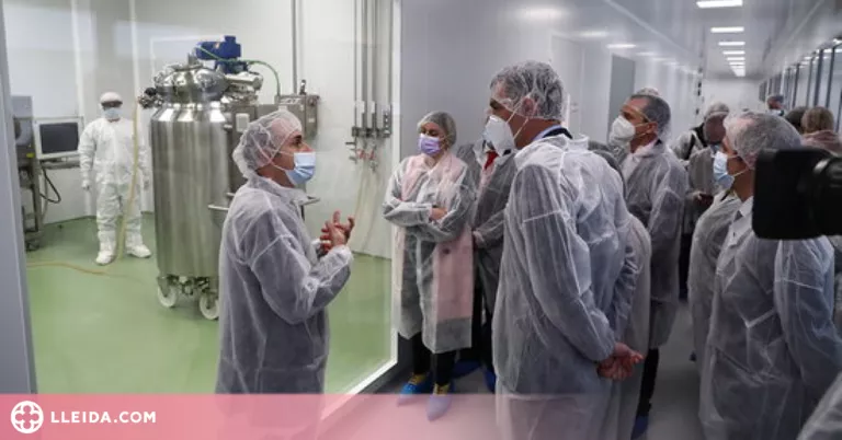 Llum verda a la segona fase de l'assaig de la vacuna catalana contra la covid
