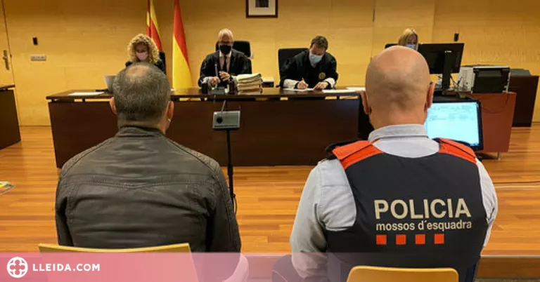 Accepta 8 anys de presó per intentar matar la parella a cops de pedra