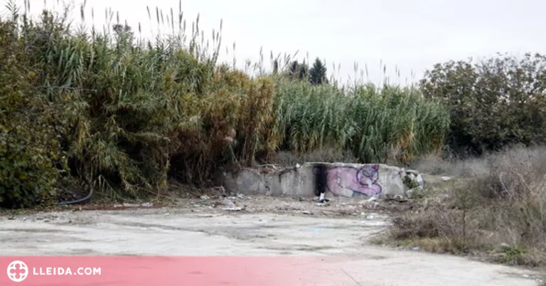La Paeria enderroca un campament il·legal a Lleida