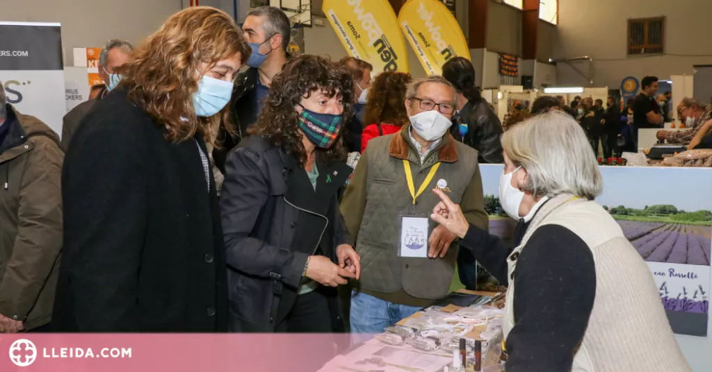 La Fira de l’Oli Verd de Maials clou amb 10.000 visitants i 14.000 litres venuts