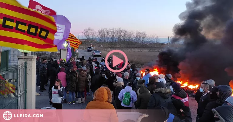 ⏯️ La vaga a l'escorxador Avidel de Lleida impedeix l'accés d'uns 250 empleats