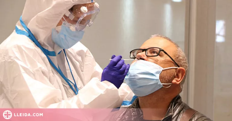 L'OMS recomana fer un test d'antígens o una PCR abans de les trobades de Nadal