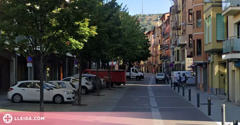 Consulta ciutadana a la Seu sobre les obres al carrer Major