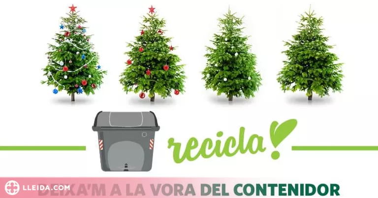 Campanya de recollida d’arbres de Nadal a Lleida