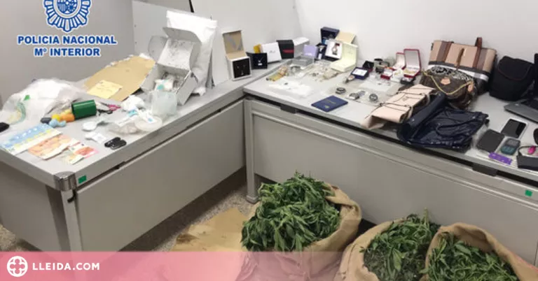 Detingudes tres persones que pretenien vendre més de 800 dosis de cocaïna la nit de Cap d'Any