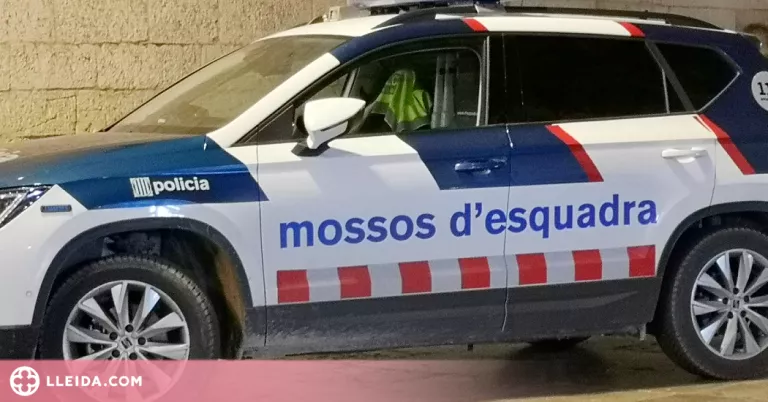 A presó un jove per agredir diversos ciutadans sense cap motiu aparent