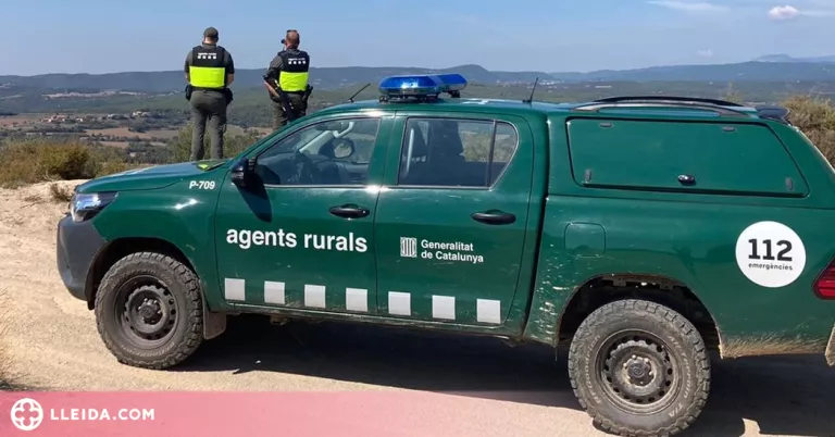 ⏯️ Troben 13 aus mortes més a la zona del focus de grip aviària del Segrià