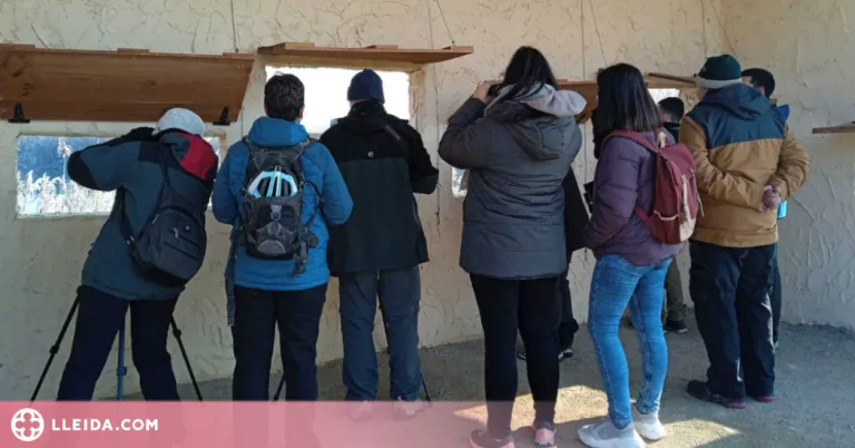 Cens d’ocells hivernants i altres activitats al Parc de la Mitjana
