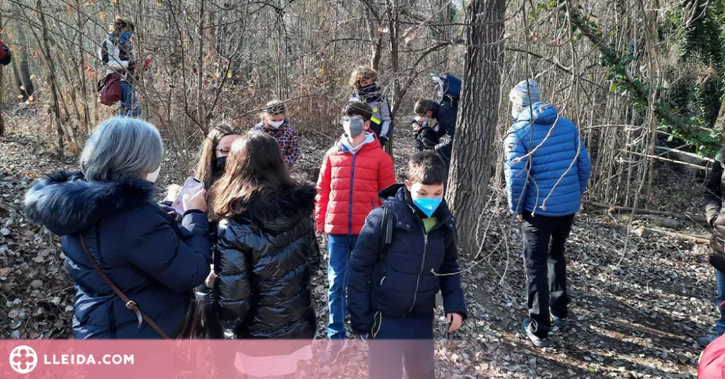Cens d’ocells hivernants i altres activitats al Parc de la Mitjana