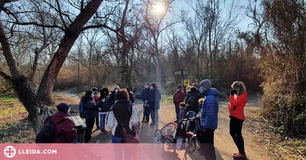 Cens d’ocells hivernants i altres activitats al Parc de la Mitjana