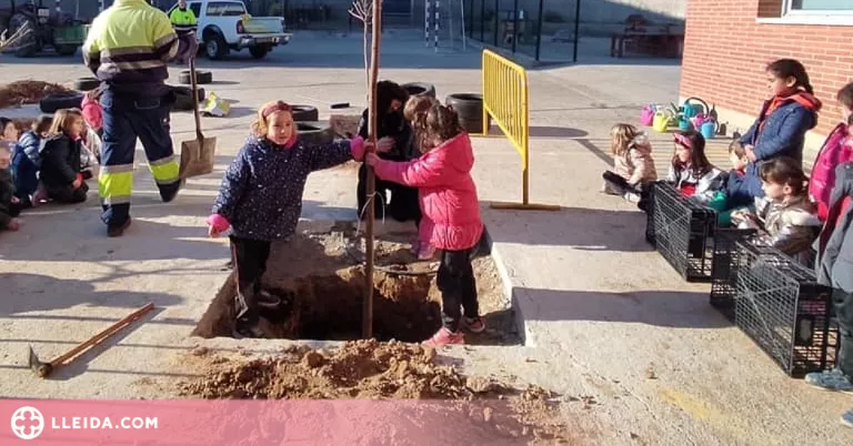 L'escola de Corbins planta arbres al pati per fer-lo més inclusiu