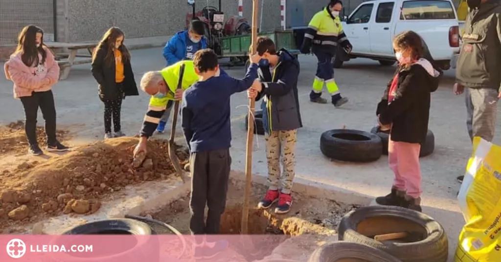 L'escola de Corbins planta arbres al pati per fer-lo més inclusiu