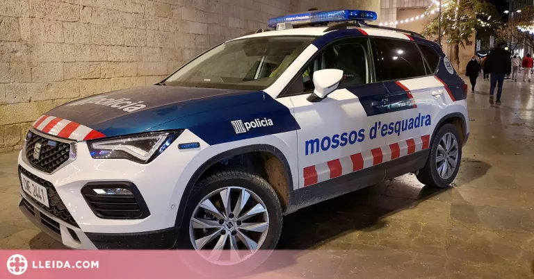Detingut un jove per cinquena vegada en un mes per diversos robatoris a Lleida