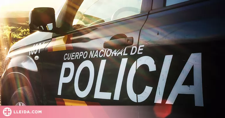 Desarticulen una organització que robava vehicles en menys d'un minut a Bulgària i els venia a Espanya