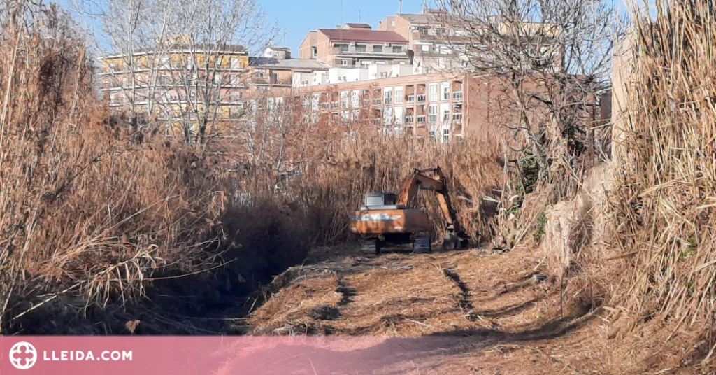 Tàrrega inverteix uns 78.000 euros per netejar i plantar d’arbres a la llera del riu Ondara