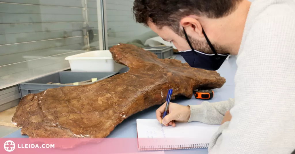 ⏯️ Paleontòlegs catalans descriuen una nova espècie de dinosaure localitzada al Pirineu