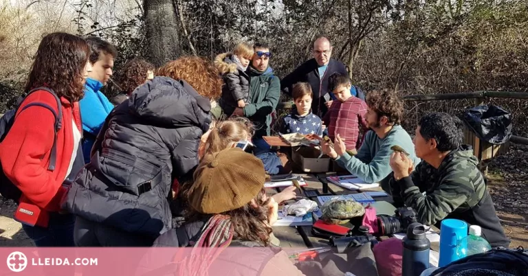 Consulta les ecoactivitats d'aquest febrer a Lleida
