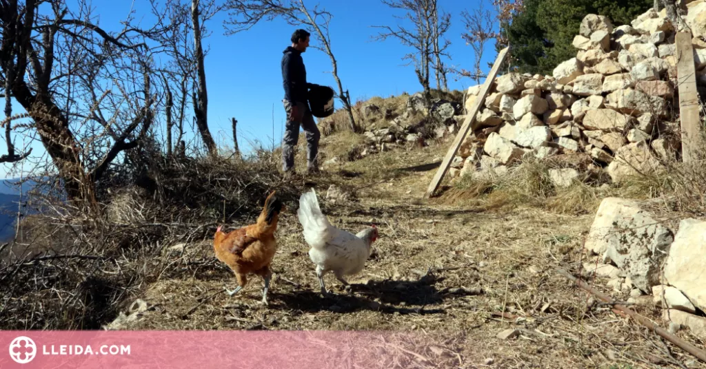 ⏯️ La sequera deixa sense aigua potable una part d'un poble del Solsonès