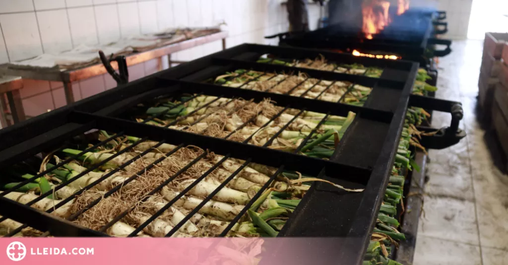 ⏯️ Una empresa de Castellnou de Seana ven més de 80.000 calçots cuits a la setmana