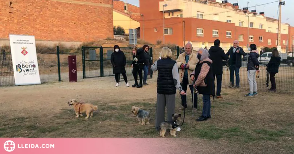 Benavent estrena una nova zona d'esbarjo per a gossos