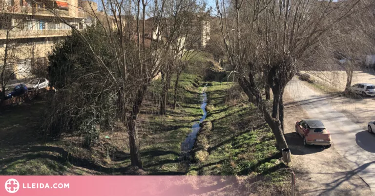 Solsona substituirà i plantarà desenes d'arbres arreu del municipi