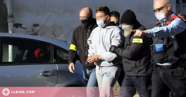 ⏯️ L'operació antidroga al Palau d'Anglesola acaba amb tres detinguts i 600 plantes comissades