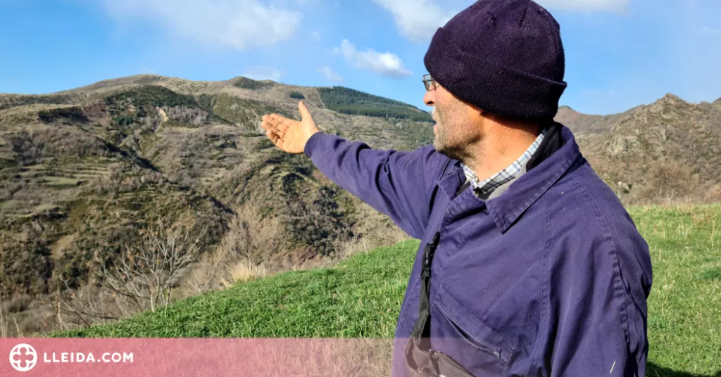 ⏯️ Crit d'alerta dels ramaders del Pirineu per un suposat atac del llop al Pallars Jussà