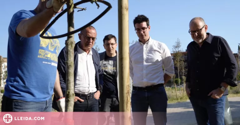 Èxit en la participació de la plantació d'arbres al Parc de Joc de la Bola