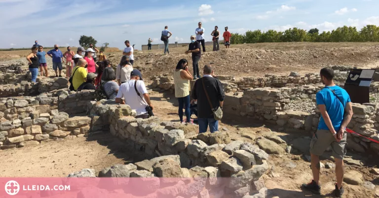 La ciutat ibèrica del Molí d'Espígol reprèn les visites guiades del maig a l'agost