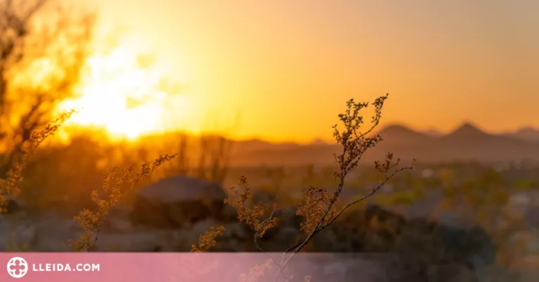 Aquesta setmana s'avança la calor d'estiu