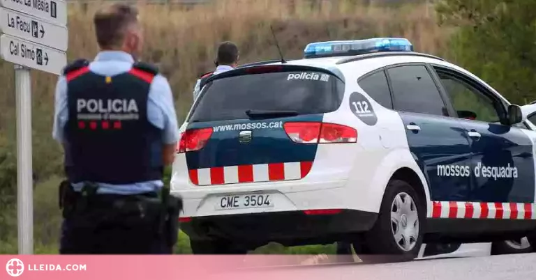 Detenen un camioner begut i drogat que transportava mercaderies perilloses a Constantí