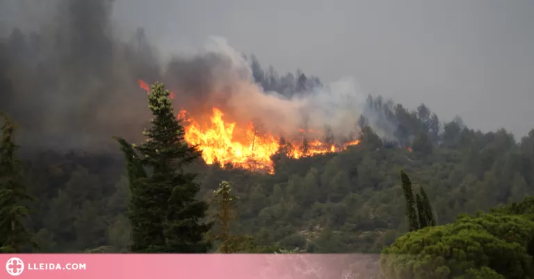 ⏯️ L'incendi de Baldomar ha cremat més de 1.000 hectàrees