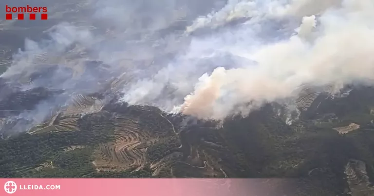 ⏯️ L'incendi de Baldomar ha cremat 550 hectàrees i els de Corbera d'Ebre i Castellar de la Ribera unes 300