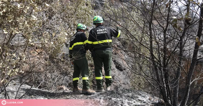 Estabilitzat l'incendi de Baldomar, que ha cremat 2.700 hectàrees