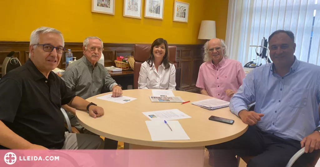 El Grup Turó Seu Vella es planteja denunciar a fiscalia l'ensorrament de la muralla
