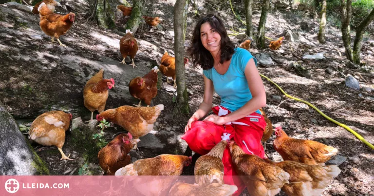 ⏯️ El Pallars Sobirà compta amb la primera 'caravana de gallines' de Catalunya