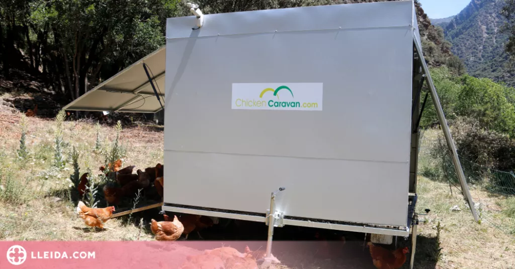 ⏯️ El Pallars Sobirà compta amb la primera 'caravana de gallines' de Catalunya