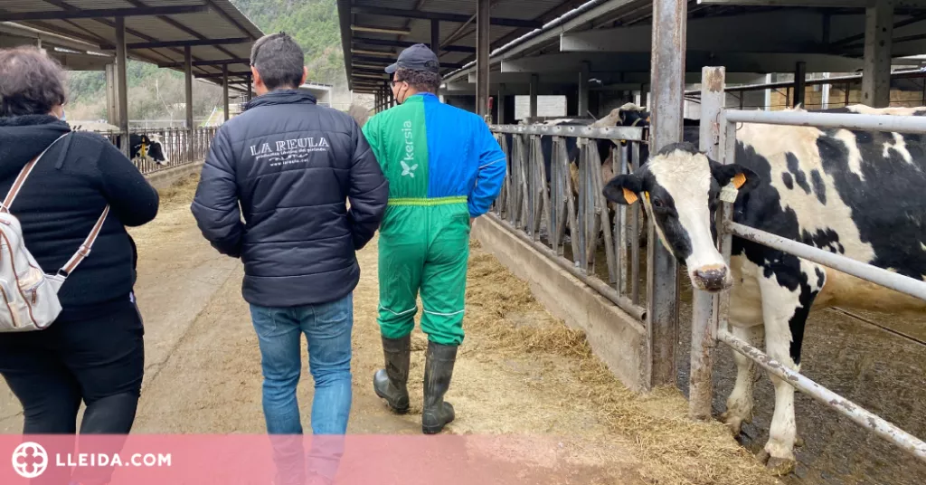 ASPID inicia una nova edició del programa SIOAS