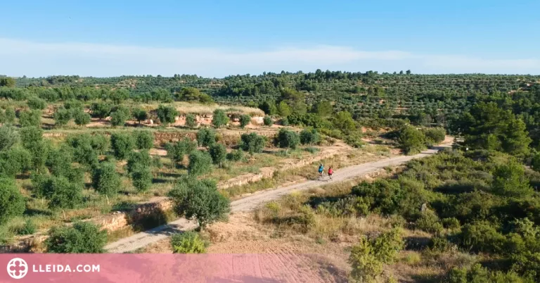 'Les Garrigues des de l'aire', el primer concurs fotogràfic de la comarca