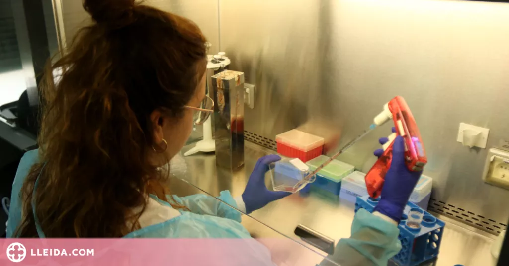 ⏯️ El color del greix corporal que envolta l'intestí, clau per lluitar contra malalties com el Crohn