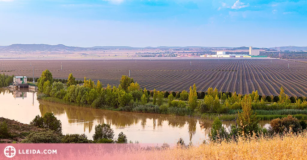 Nufri estima produir un 45% menys de poma a causa de les galeades d'abril