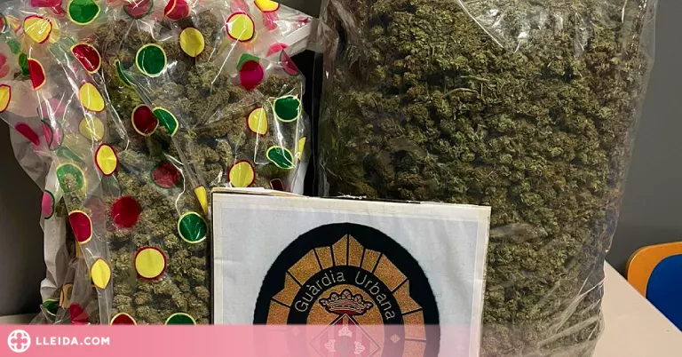 Enxampats amb més de 5 quilos de marihuana a Lleida